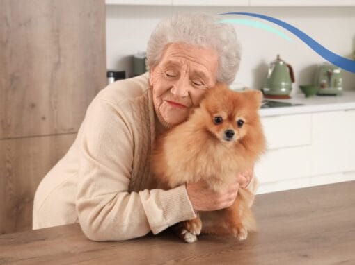 Pet Therapy for Dementia