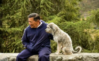 Pet Therapy for Dementia