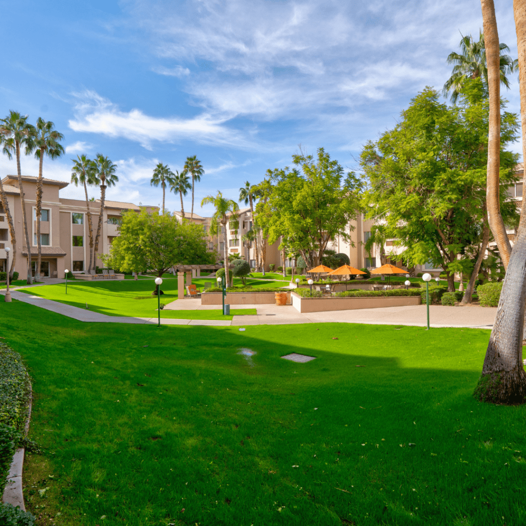 Palms at Sun City Courtyard