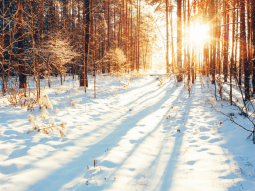 Beat the Winter Blues When You’re Retired