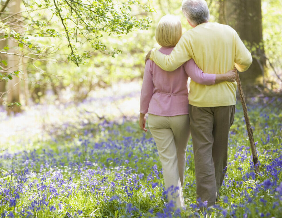 15 Outdoor Activities for Seniors To Enjoy in Spring & Summer Stellar