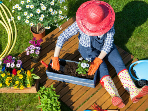 10 Amazing Benefits of Gardening for Seniors