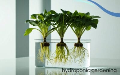 Hydroponic Gardening for Seniors