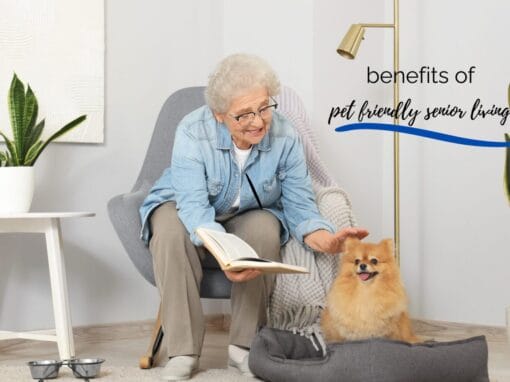 The Benefits of Pet-Friendly Senior Living Communities