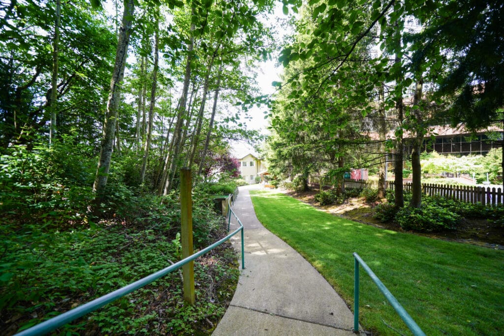 Walking path surrounded by mature trees at Overlake Terrace Assisted Living in Redmond