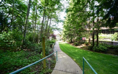 Spotlight On Overlake Terrace: A Day in the Life