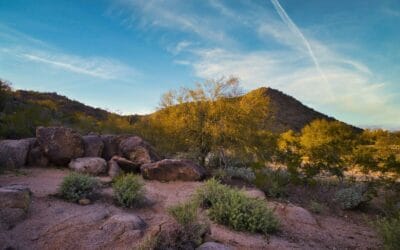 27+ Things To Do Near The Palms at Sun City, Arizona