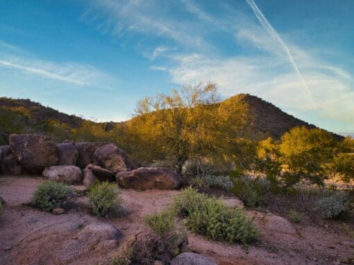 27+ Things To Do Near The Palms at Sun City, Arizona