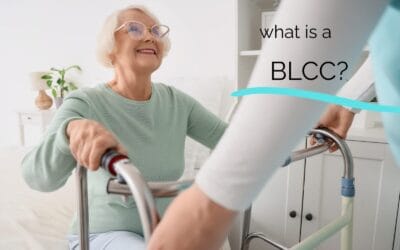 Stellar Living Foundation: What is a BLLC?