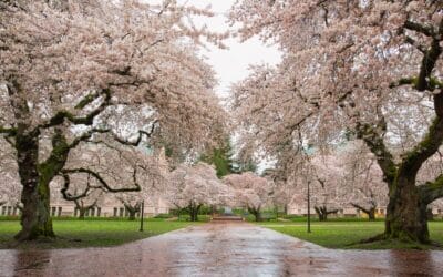 Walking Distance: 10 Things to Do Near Farrington Court in Kent, Washington