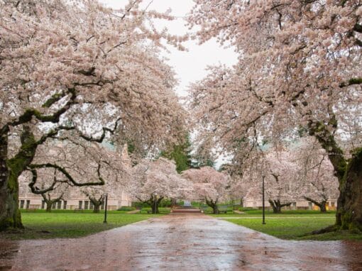 Walking Distance: 10 Things to Do Near Farrington Court in Kent, Washington