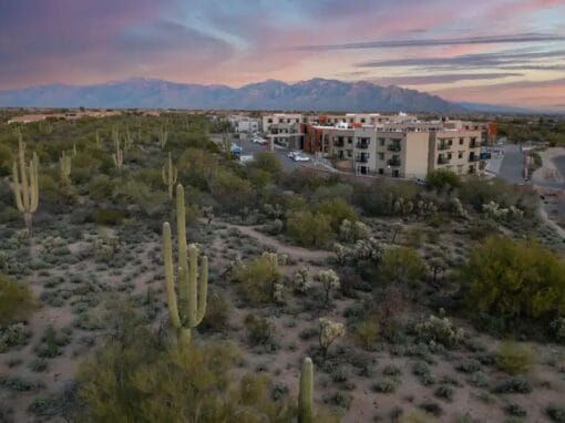 La Sonora at Dove Mountain: Luxury Senior Living in Marana, AZ