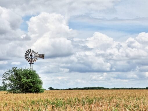 Things to Do for Seniors in Kyle, Texas