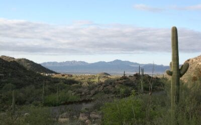 Things to Do for Seniors and Their Families in Marana, Arizona near La Sonora at Dove Mountain