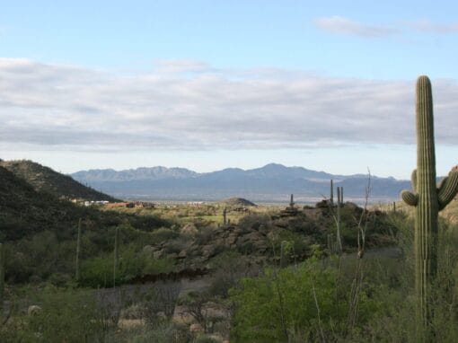 Things to Do for Seniors and Their Families in Marana, Arizona near La Sonora at Dove Mountain