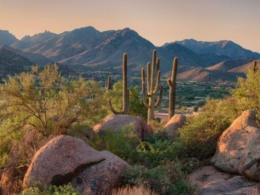 The Best Senior Living Communities in Arizona