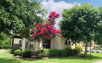 Villa de San Antonio – San Antonio, TX