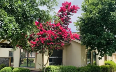 Villa de San Antonio Senior Living Joins Stellar Senior Living Family