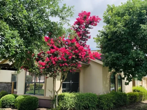 Villa de San Antonio Senior Living Joins Stellar Senior Living Family