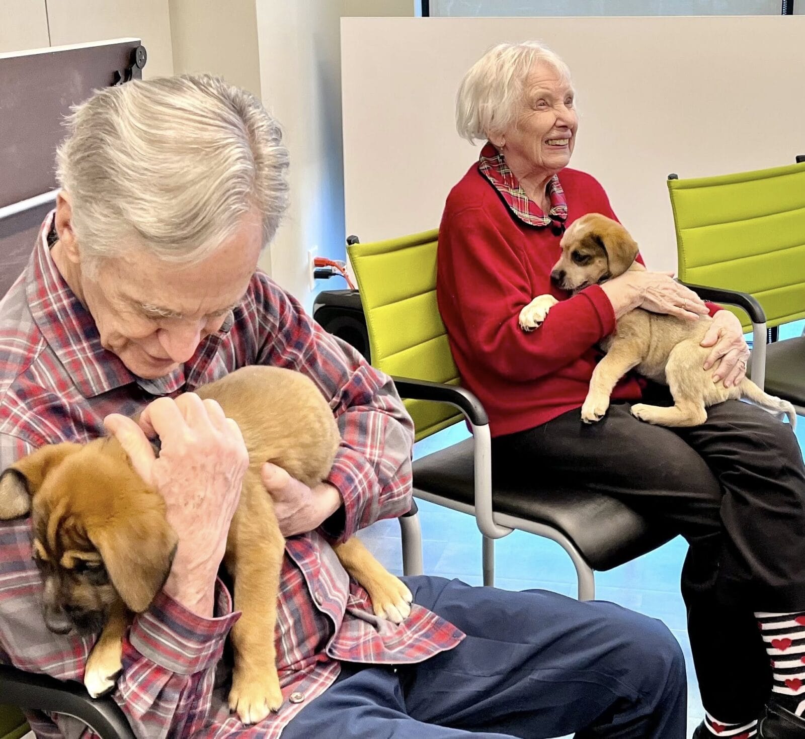 Senior living residents with puppies