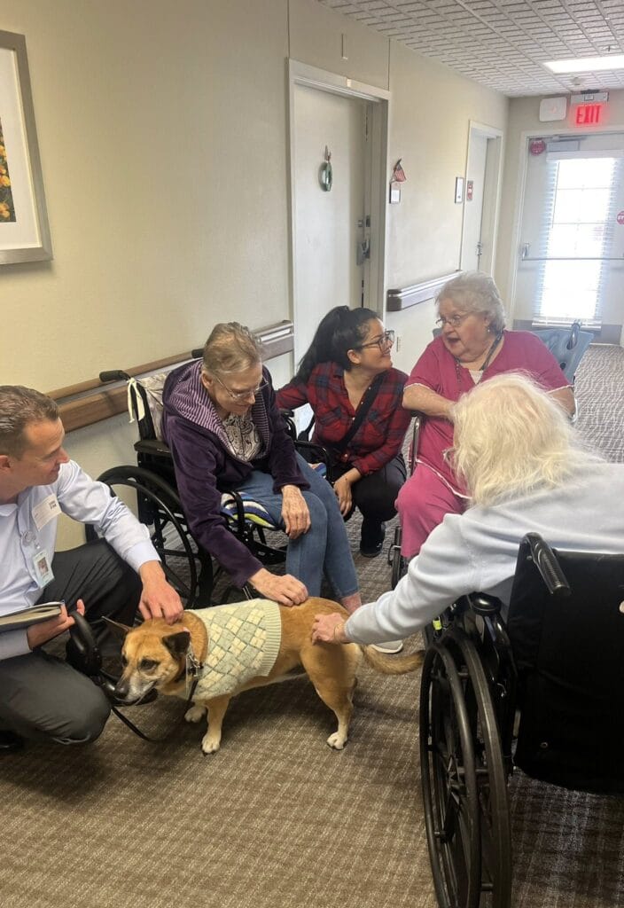 Senior living residents in Tucson pet a therapy dog