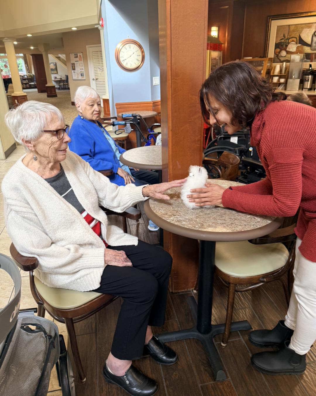 Senior living residents in Redmond touch a stuffed alpaca