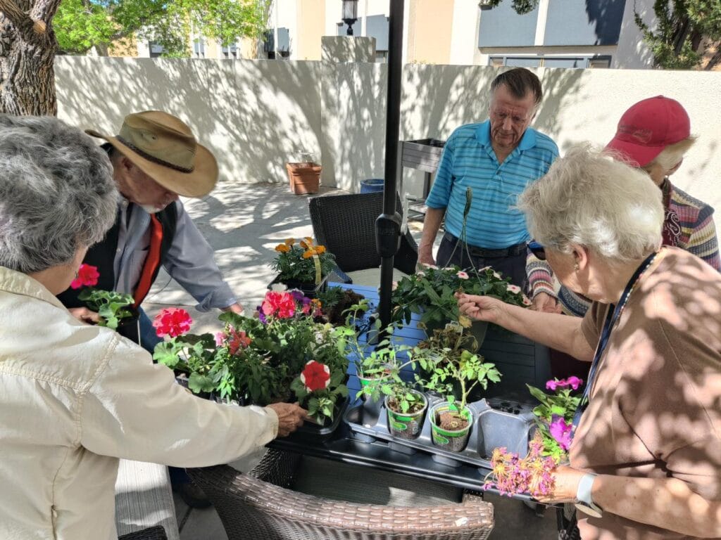 The Montebello on Academy Assisted Living residents planting in the raised beds